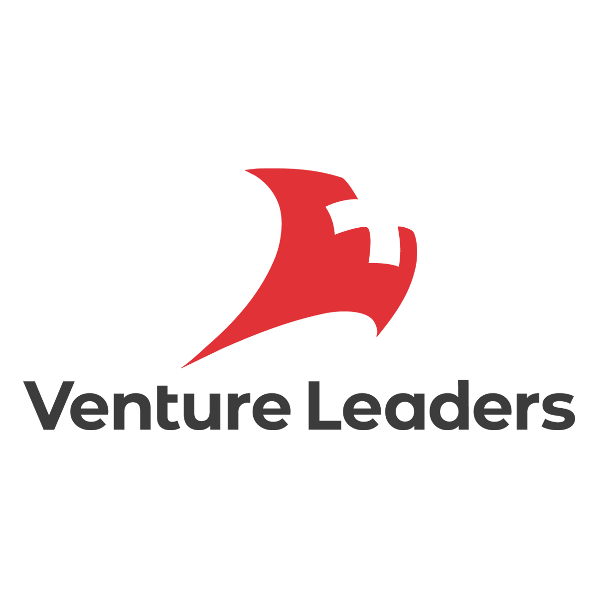 Venture Leader